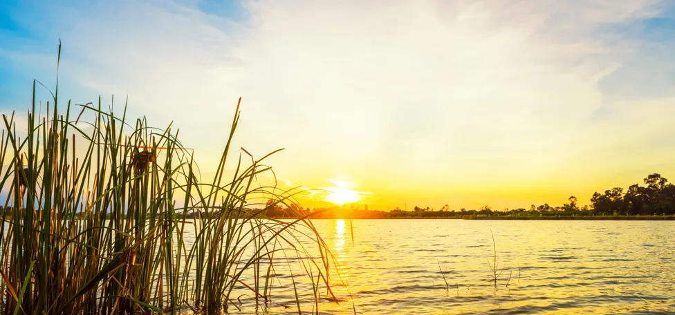Sunset at a lake.